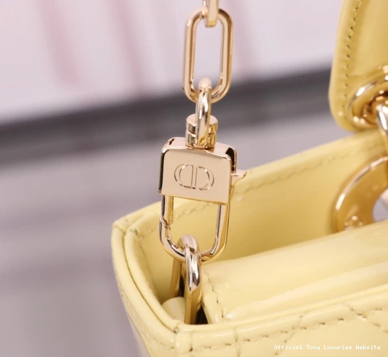 Tony Luxuries LADY BAG-22*12*6CM diro D-JOY 0710